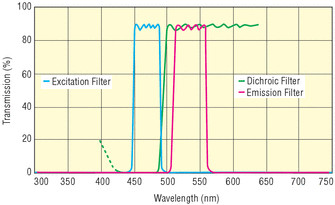 Fluorescence Imaging Filter